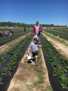 Strawberry Picking for the Win - Ian and Uncle James running through row of strawberries