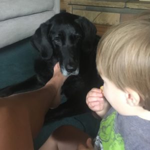 Bad dog, good kids