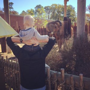 The Birmingham Zoo is in Mountain Brook Village