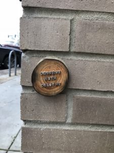 Fairy houses in Homewood - observe with delight