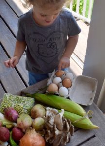community supported agriculture - CSAs in Birmingham can provide learning opportunities for your kids