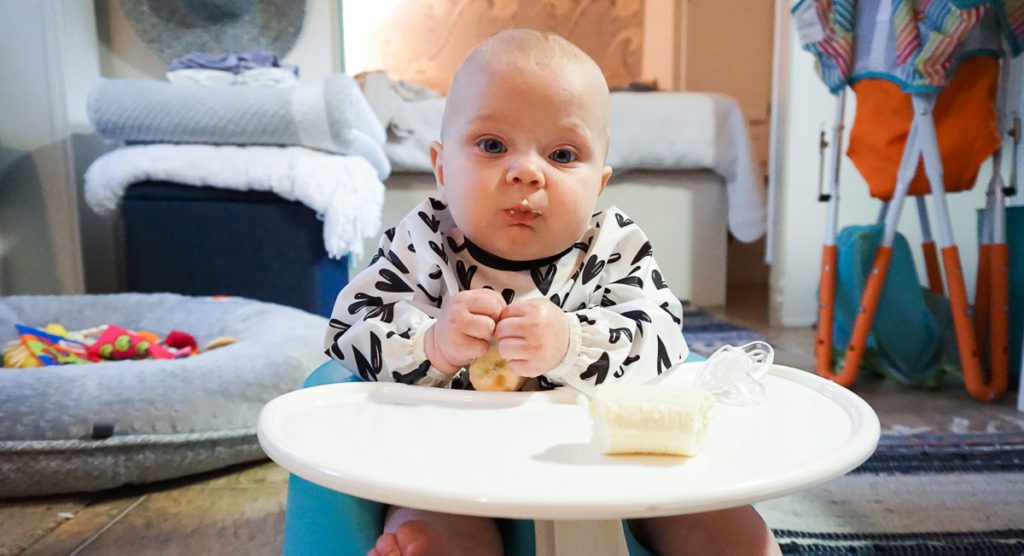 Baby Led Weaning :: Everything You Ever Wanted to Know - Introducing Solids