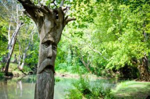 places to explore in birmingham while social distancing - Orr Park