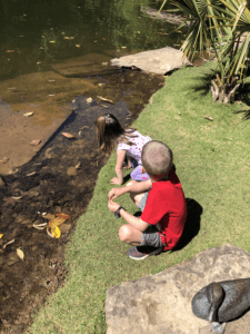 places to explore in birmingham while social distancing - Aldridge Gardens