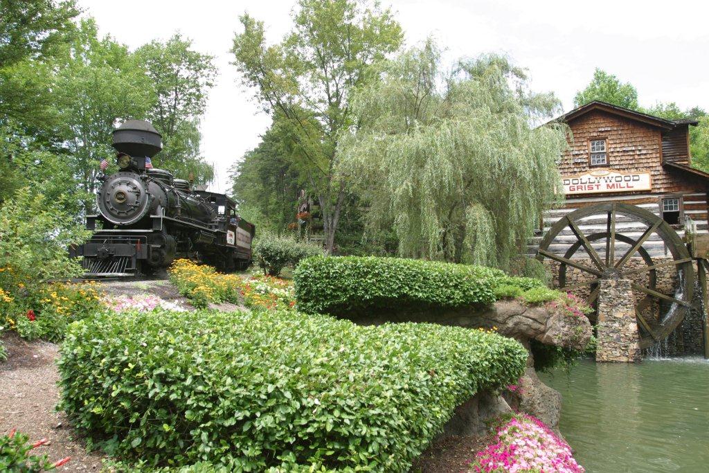 Dollywood in 2021