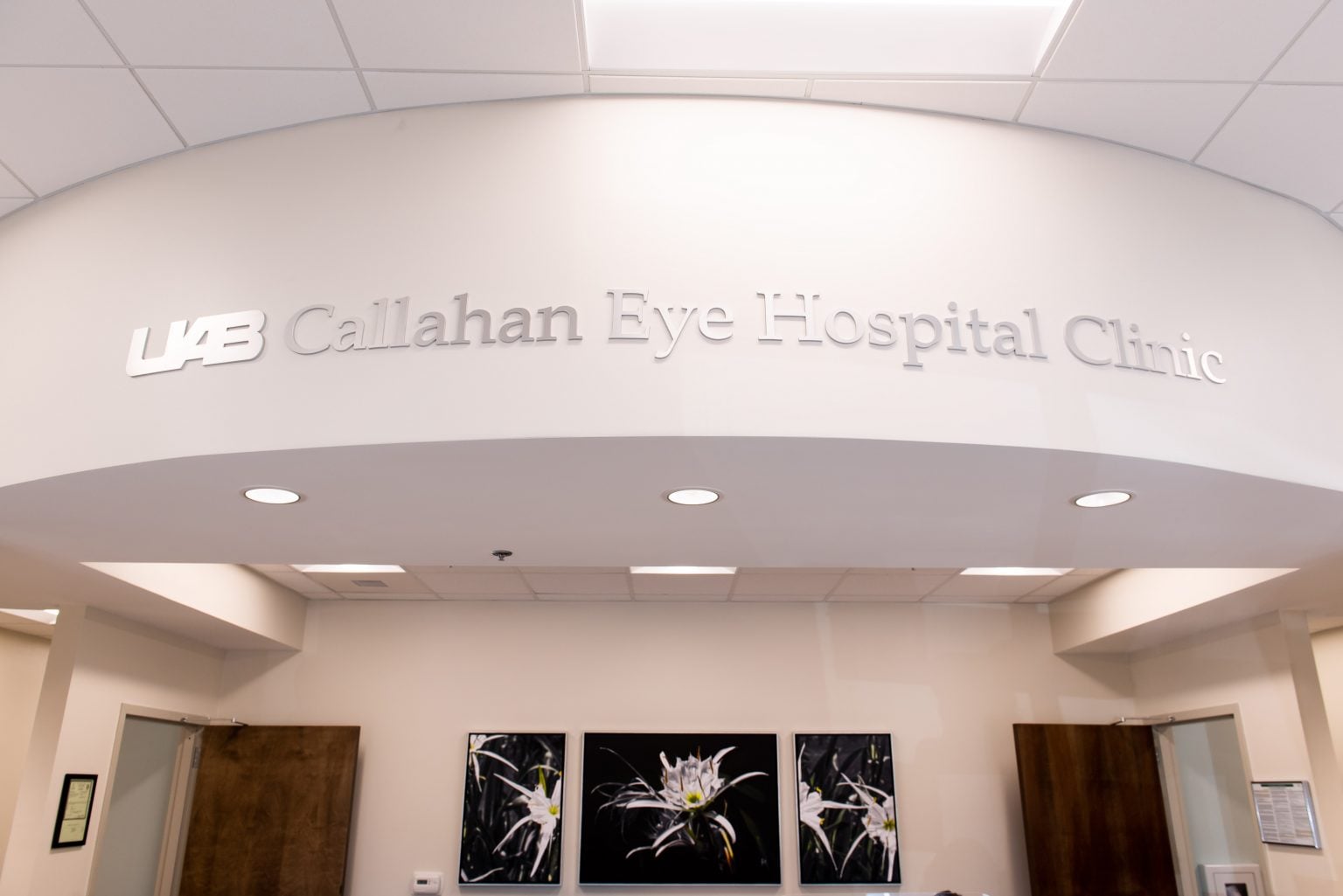 Artistic Callahan Eye Clinic Locations Artwork Illustration Artistic Callahan Eye Clinic Locations Artwork Illustration