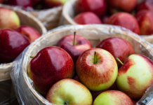 Guide to Apple Orchards