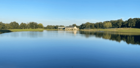 Shadow Lake
