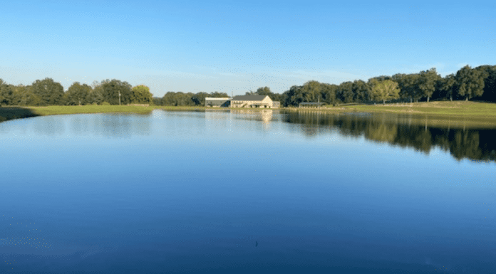 Shadow Lake