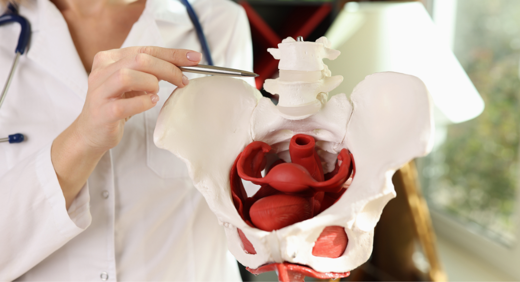 pelvic floor therapy
