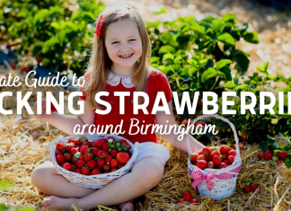 Strawberry Farms Around Birmingham