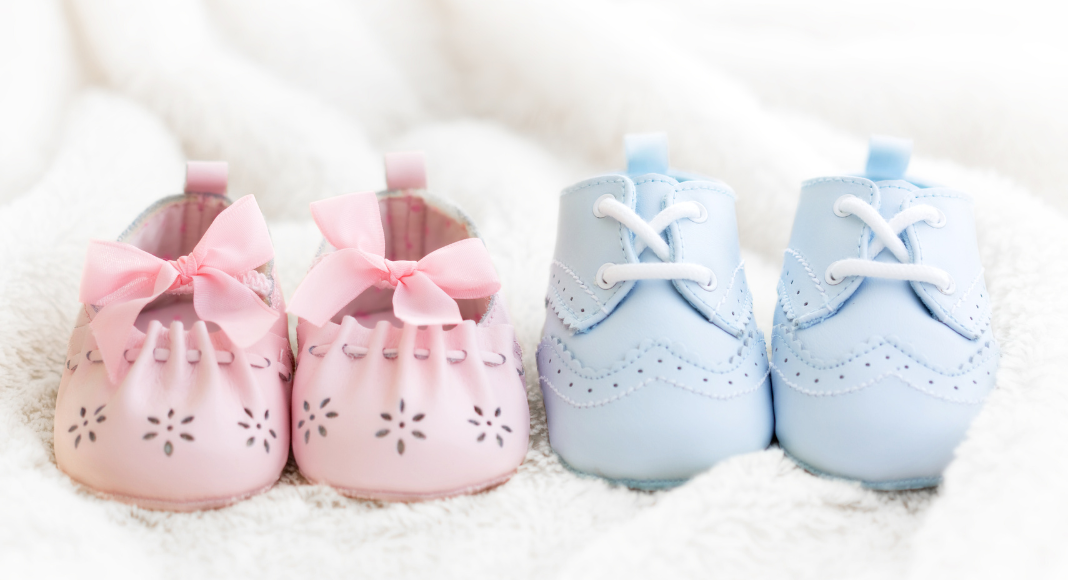 surrogacy