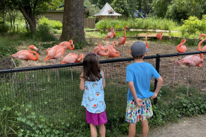 Birmingham Summer Bucket List