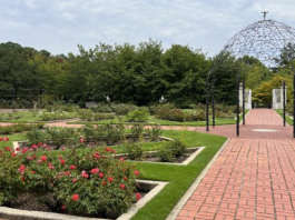 birmingham botanical gardens