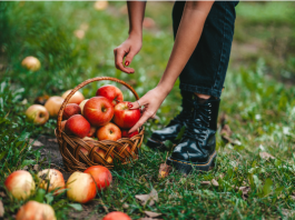 birmingham apple orchards