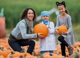 Fall Festivals and Events