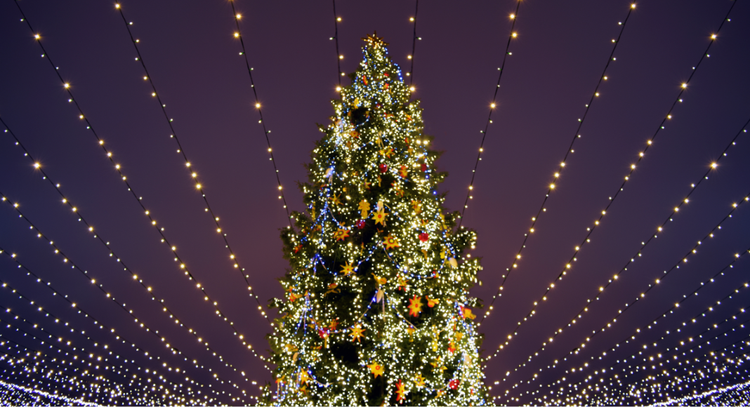 Birmingham Christmas Tree Lightings