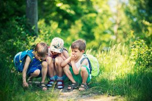 Pelham Summer Camp
