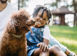 dog parks Birmingham