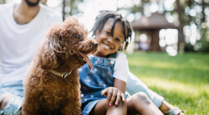 dog parks Birmingham