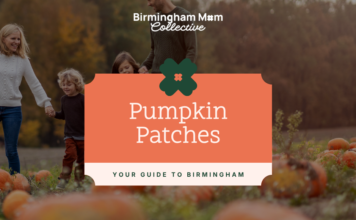 The Ultimate Guide to Birmingham Pumpkin Patches