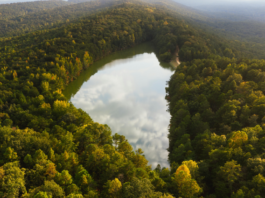 oak mountain state park