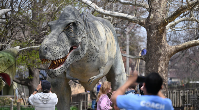 New at the Birmingham Zoo :: Dino Safari