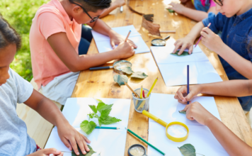 weekly summer camps birmingham