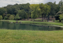 Experience Birmingham :: A Day in Avondale