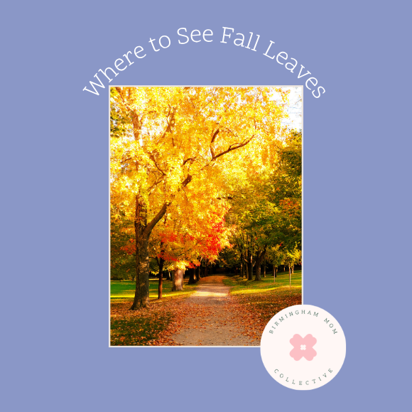 Fall activities with kids in Birmingham