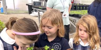 Garden Tales – Explore Advent