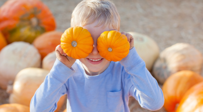 9 Non-Carving Ideas for Pumpkins This Fall pumpkin ideas